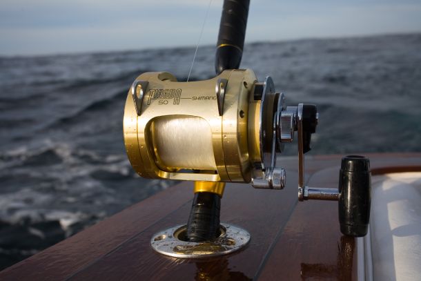 ABARES to survey gamefishers at comp